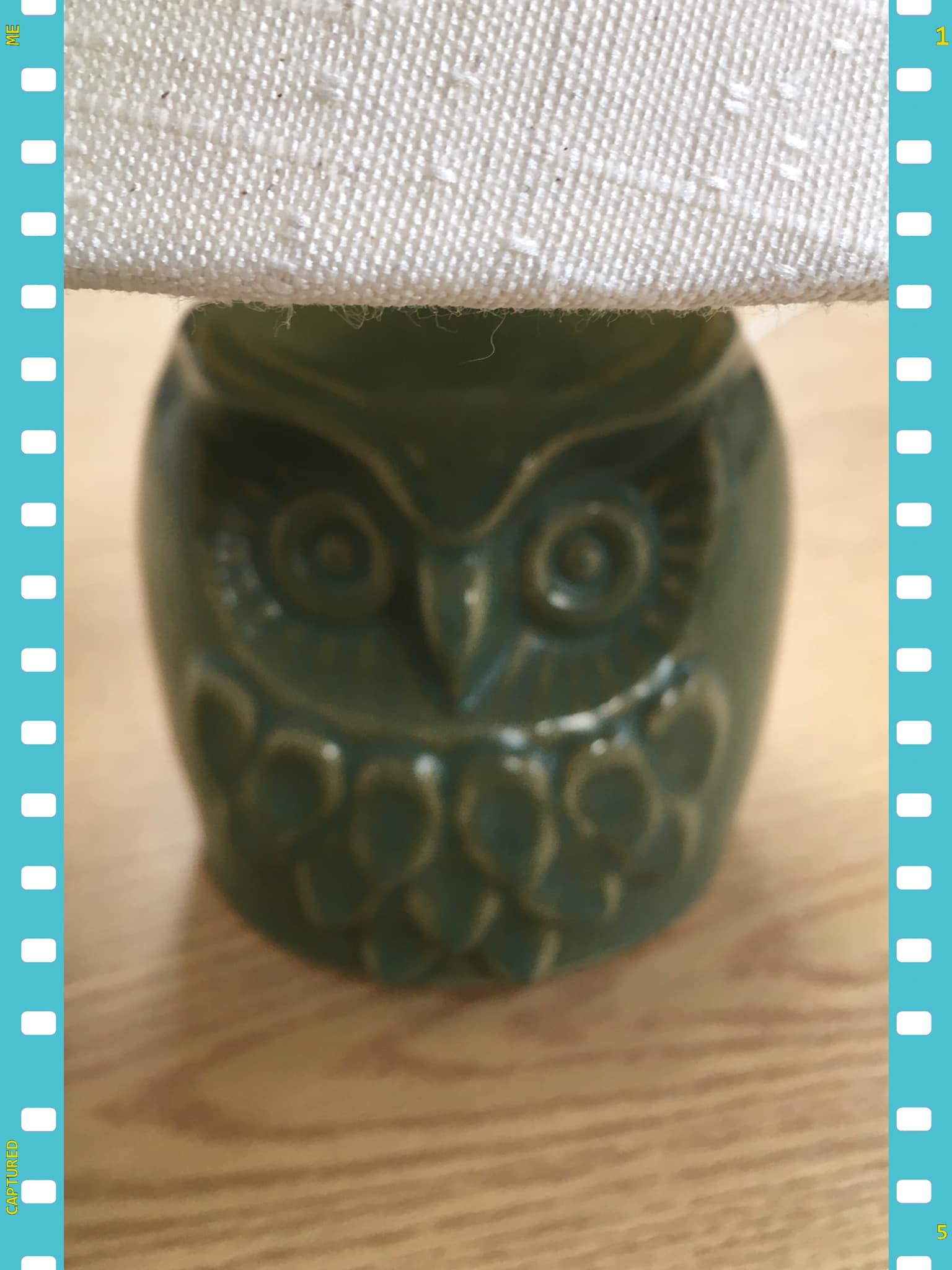 PAIR OF OWL LAMP BASES WITH CREAM SHADES